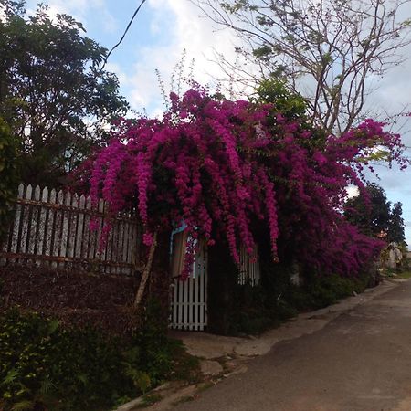 Ly'S Homestay Gia Nghĩa Exterior foto