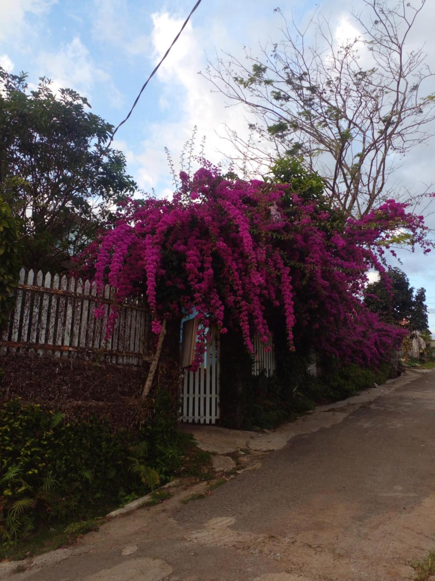 Ly'S Homestay Gia Nghĩa Exterior foto